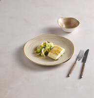 Steelite Fuse Sable Orbita Coupe Plate 25.5cm (10")