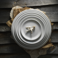 Steelite Teller Coupe 23 cm Taste Weiß