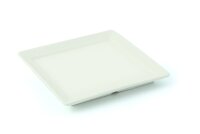 Teller flach viereckig 10x10 cm Dyonisio Weiß
