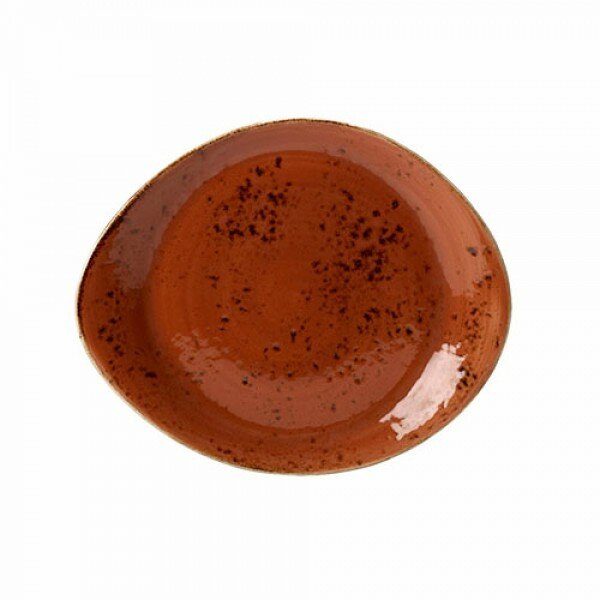 Craft Terracotta Freestyle Plate  25.5cm 10"